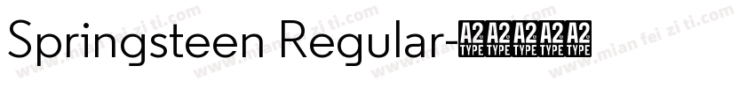 Springsteen Regular字体转换